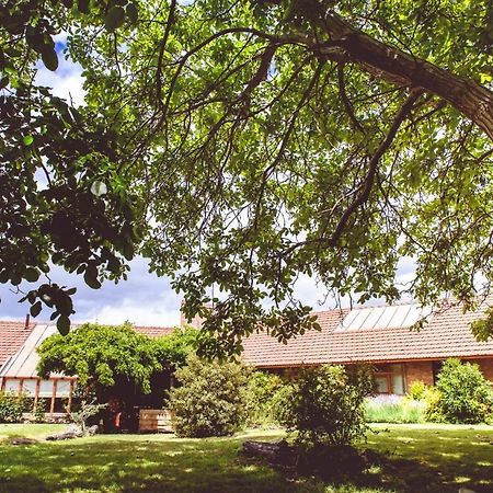 Posada Los Mimbres Gaiman Exteriér fotografie