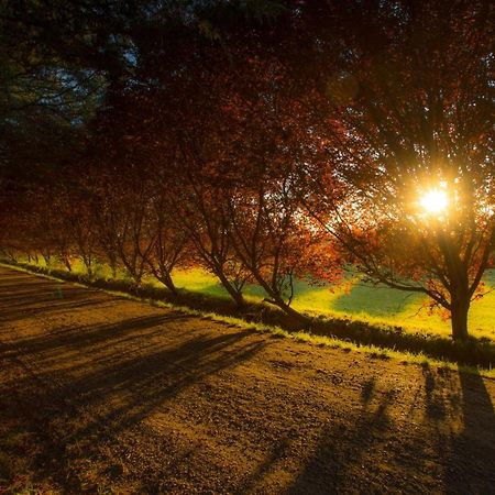 Posada Los Mimbres Gaiman Exteriér fotografie