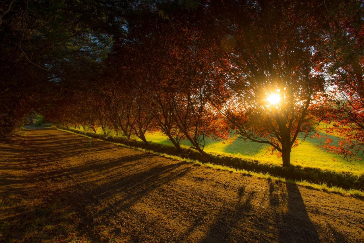 Posada Los Mimbres Gaiman Exteriér fotografie