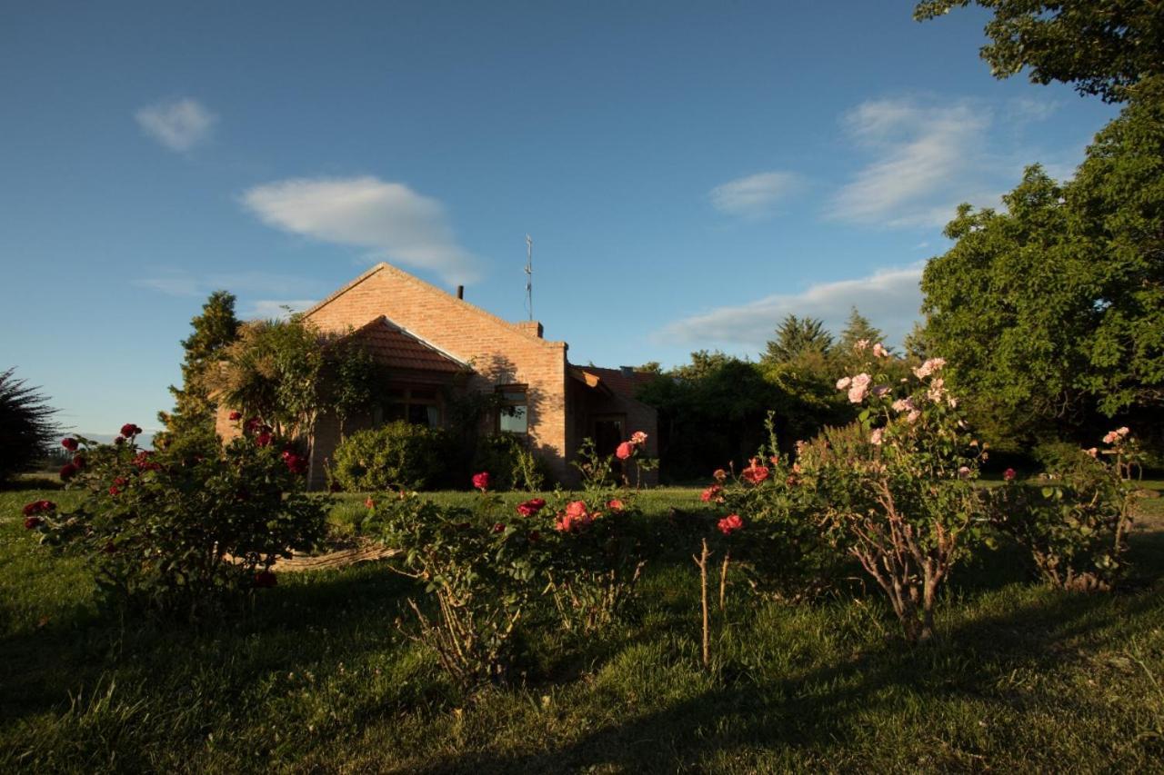 Posada Los Mimbres Gaiman Exteriér fotografie